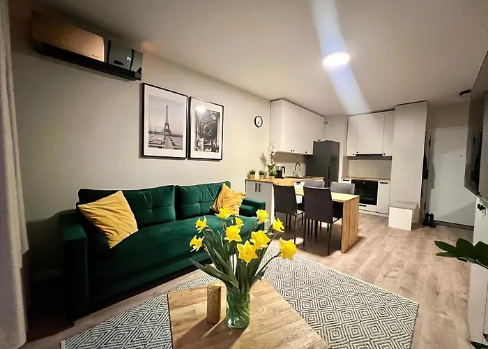 Milionowa 8 - Komfortowe Studio Z Garazem I Klimatyzacja
